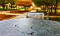 Park Bench Perspective - Digital Art Print Nature Photography