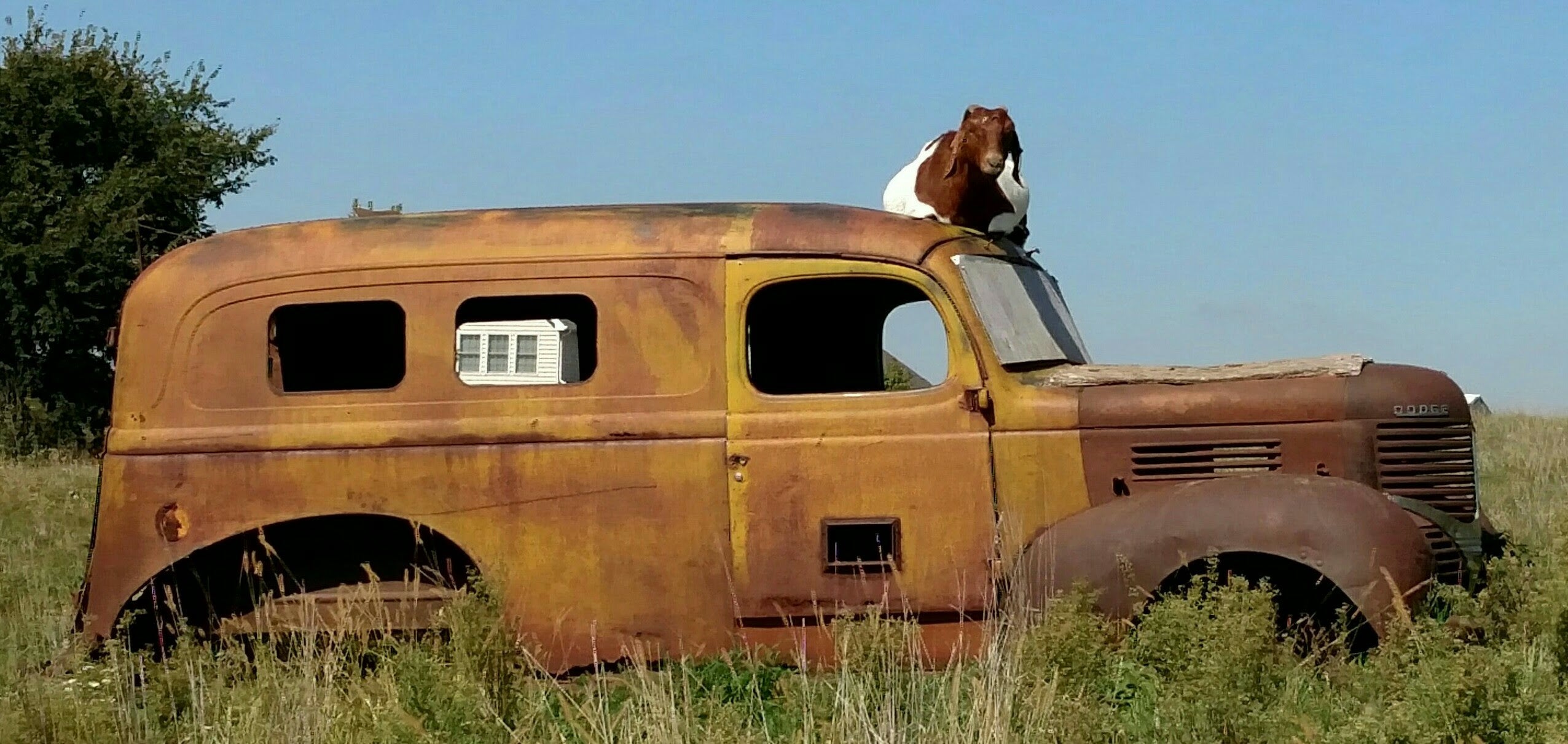 The Lookout — Rustic Americana Fine Art Photography Print